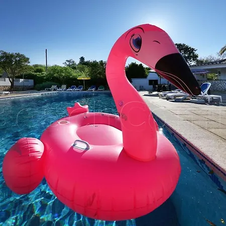 Casa Beachcomber Le Jardin Des Arts