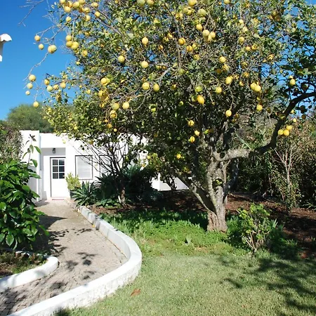 Casa Beachcomber Le Jardin Des Arts Lagos