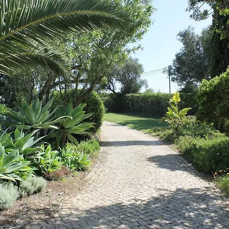 Casa Beachcomber Le Jardin Des Arts Apartment Lagos
