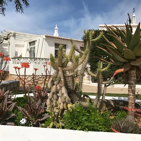 Apartment Casa Beachcomber Le Jardin Des Arts *