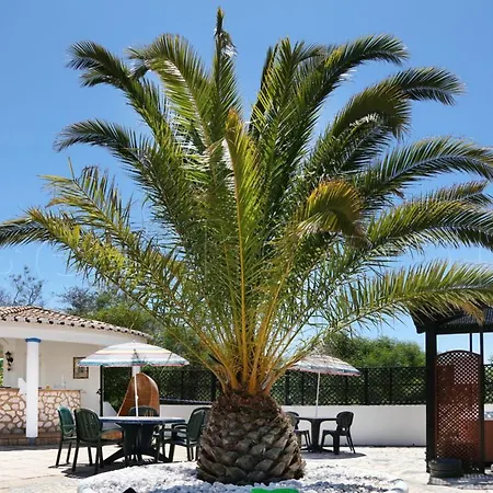 Apartment Casa Beachcomber Le Jardin Des Arts *