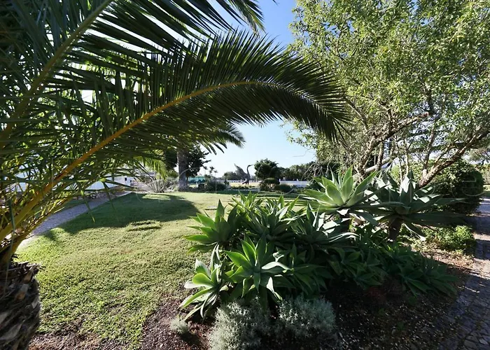 Appartement Casa Beachcomber Le Jardin Des Arts *