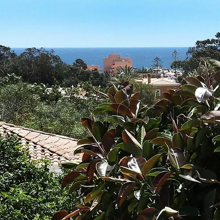 Casa Beachcomber Le Jardin Des Arts *